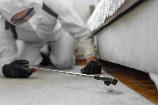 Professional Bed Bug Control technician working in Cedar County County, MO